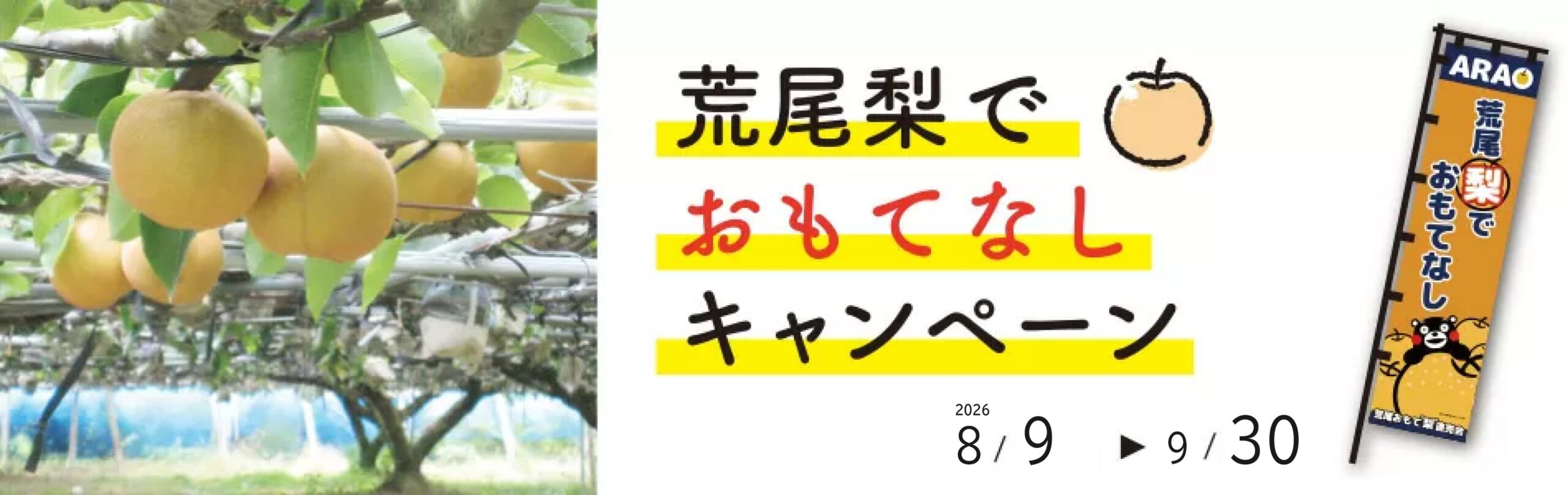 キャンペーン
